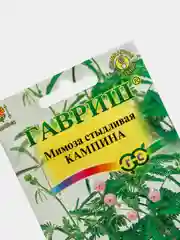 Мимоза стыдливая Кампина, семена, цветы