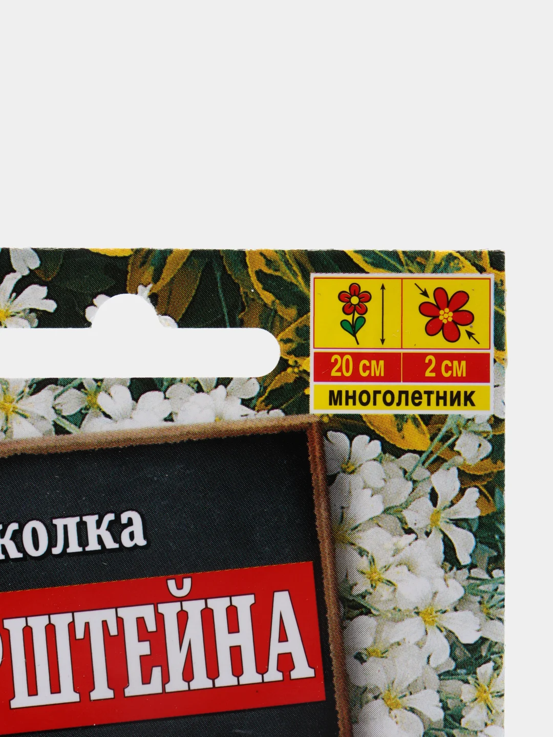 Ясколка "Биберштейна", семена, цветы