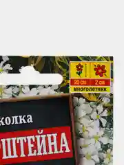 Ясколка "Биберштейна", семена, цветы