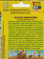 Ясколка "Биберштейна", семена, цветы