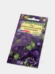 Астра Эрфуртский карлик темно-синяя