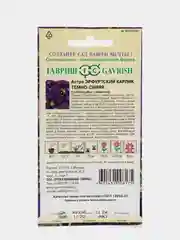 Астра Эрфуртский карлик темно-синяя