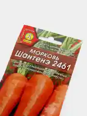 Морковь Шантанэ 2461