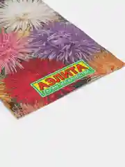 Астра Гигантские лучи, смесь сортов, семена (Аэлита)