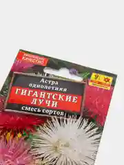 Астра Гигантские лучи, смесь сортов, семена (Аэлита)