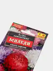 Астра Миледи, смесь сортов, семена (Аэлита)