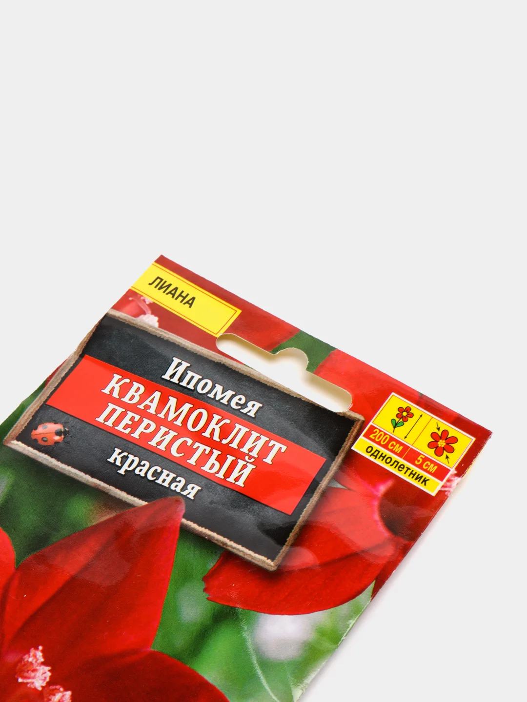 Ипомея Квамоклит красная (семена, цветы)