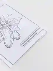 Семена Огурец "Конкурент", б/п, 0,5 г