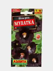Шток роза "Мулатка", семена, цветы