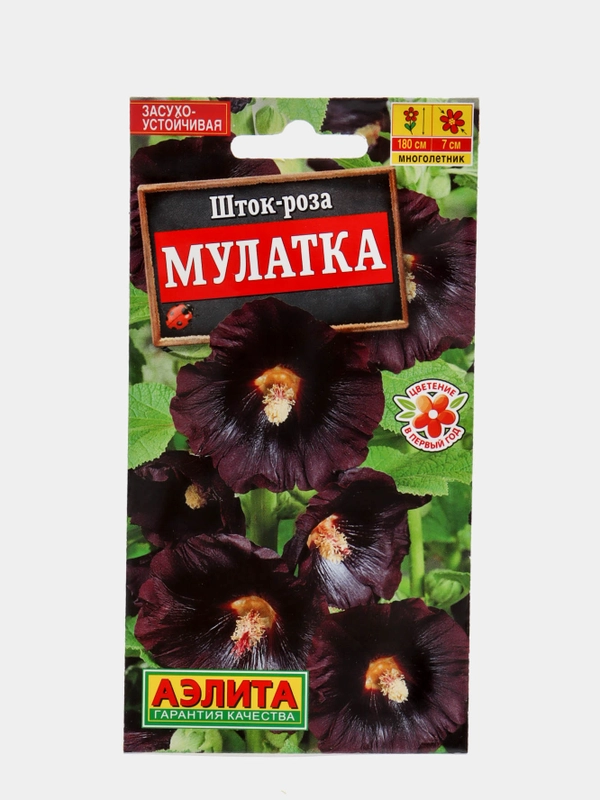 Шток роза "Мулатка", семена, цветы