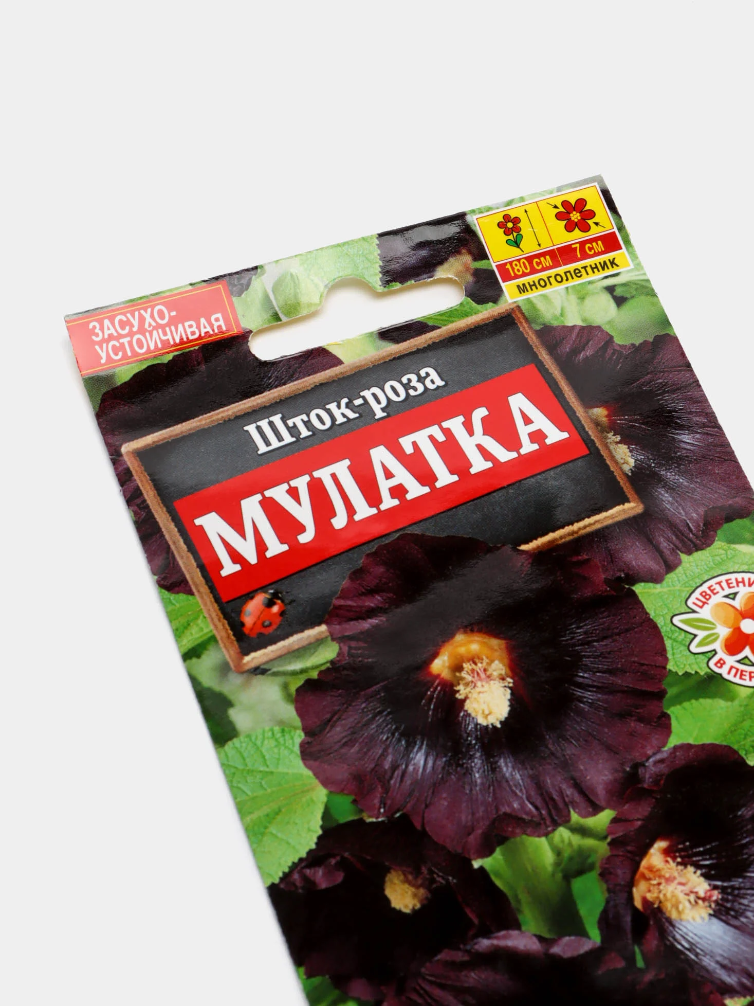 Шток роза "Мулатка", семена, цветы