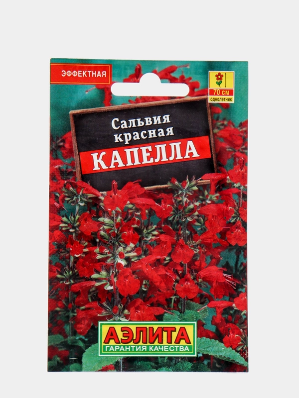 Семена цветов Сальвия "Капелла"