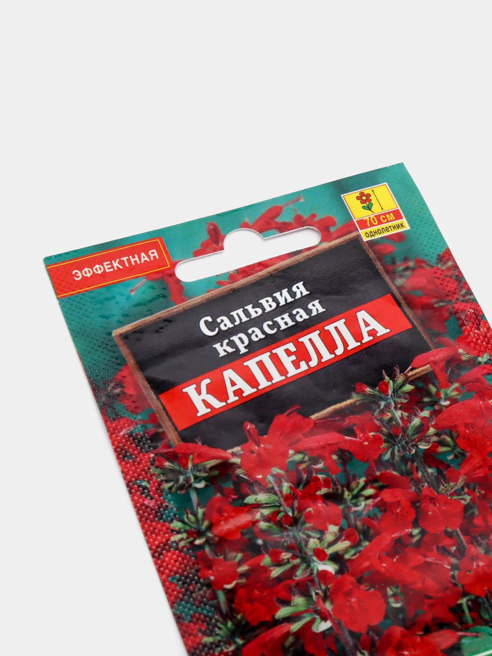 Семена цветов Сальвия "Капелла"