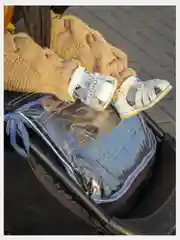 Хром чехол на подножку коляски