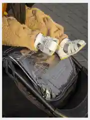Черный чехол на подножку коляски