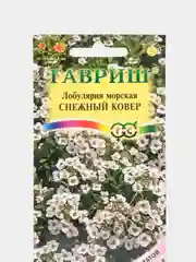 Лобулярия морская Снежный ковер, семена, цветы