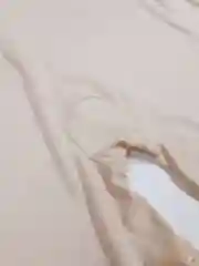 Бежевый панталоны женские