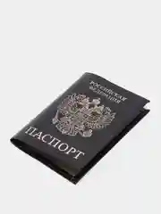Обложка для паспорта STAFF Profit