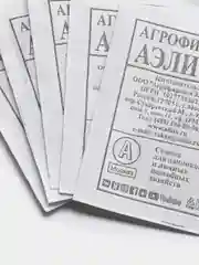 Семена Петрушка листовая  Бутербродная  набор 1, 5, 10 уп