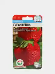 Семена Земляника "Гигантелла" набор 1, 3, 5 уп