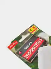 Семена Ипомея  Лунноцветущая  набор 1, 3, 5 уп