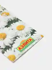 Семена Хризантема "Ариэль" набор 1, 3, 5 уп