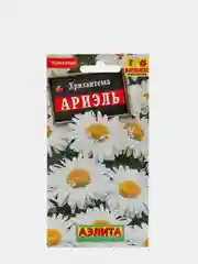 Семена Хризантема "Ариэль" набор 1, 3, 5 уп