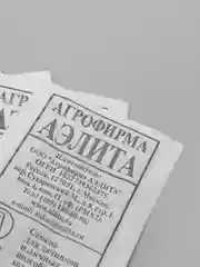 Семена Укроп "Грибовский" набор 1, 5, 10 уп
