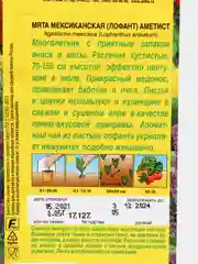 Семена Мята мексиканская "Аметист" набор 1, 3, 5 уп