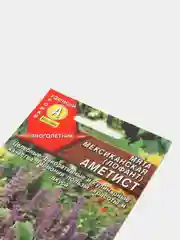 Семена Мята мексиканская "Аметист" набор 1, 3, 5 уп