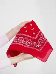 Красный бандана с классическим принтом/балаклава/бафф/повязка на шею/с узором /на голову/унисекс