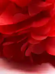 Красный помпоны из бумаги тишью для декора