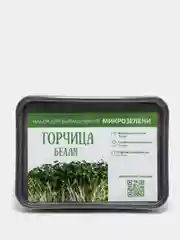 Набор для выращивания микрозелени Базилик, Кинза, Кориандр, Горох, Кресс