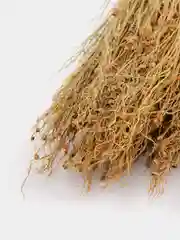 Веник сорго, для уборки,веник,щётка для уборки