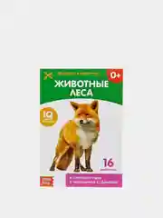 Книги "Карточки Домана на скрепке", набор, 8 штук по 20 страниц