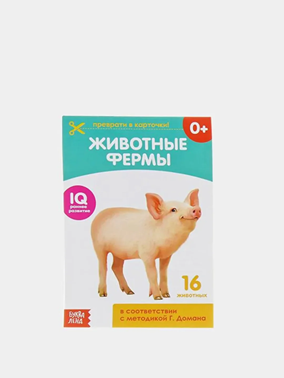 Книги "Карточки Домана на скрепке", набор, 8 штук по 20 страниц