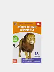 Книги "Карточки Домана на скрепке", набор, 8 штук по 20 страниц