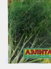 Укроп Аллигатор (семена) / Аэлита