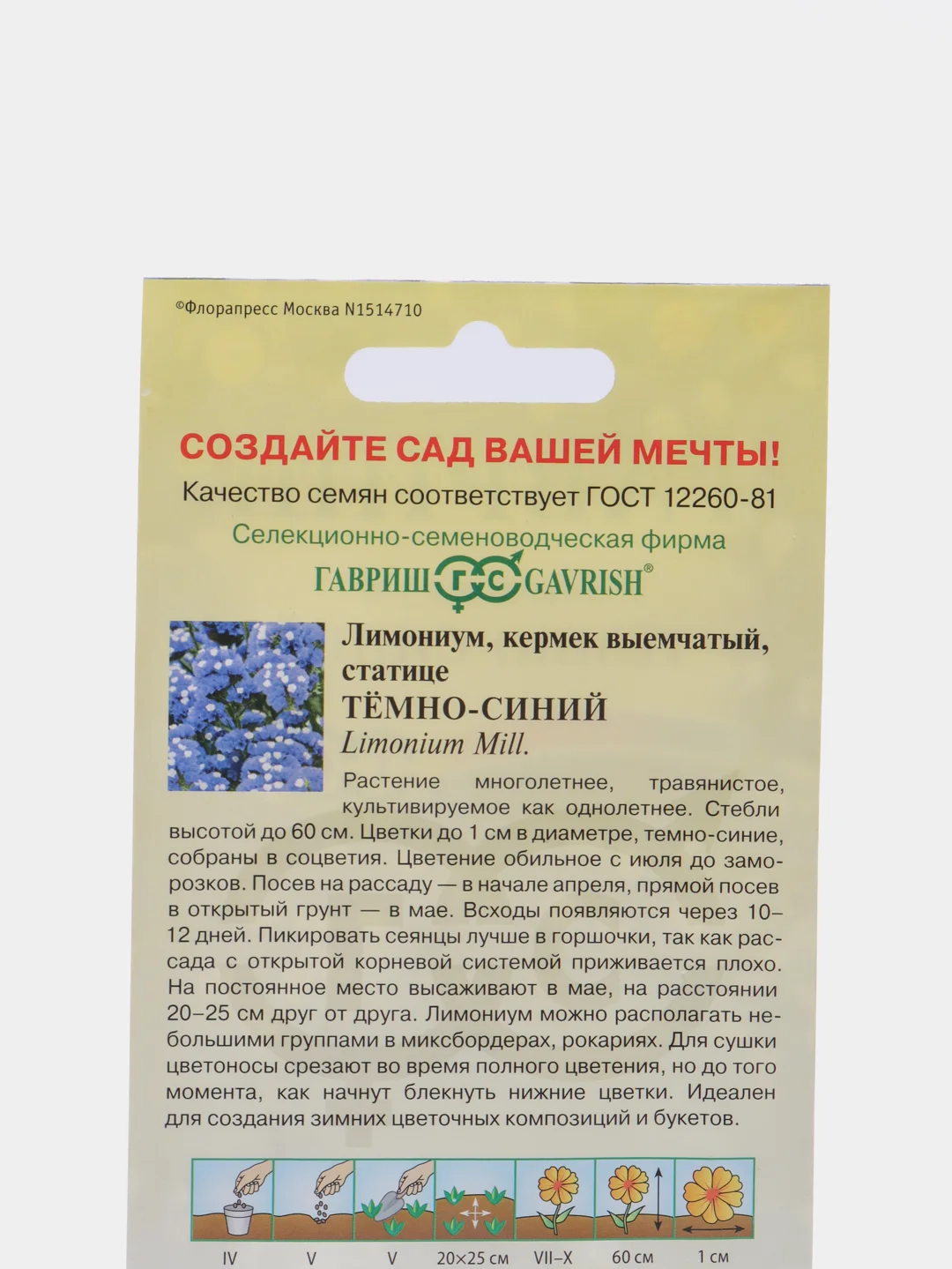 Семена Лимониум (кермек выемчатый, статице) темно-синий набор 1, 3, 5 уп