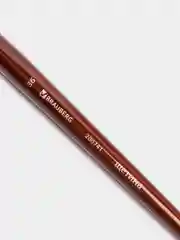 Кисть художественная профессиональная BRAUBERG ART "CLASSIC", щетина, овальная, № 36, длинная ручка, 200741