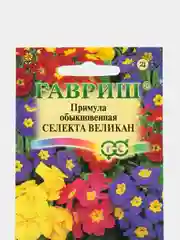 Примула Эрфрутские великаны (семена, цветы)