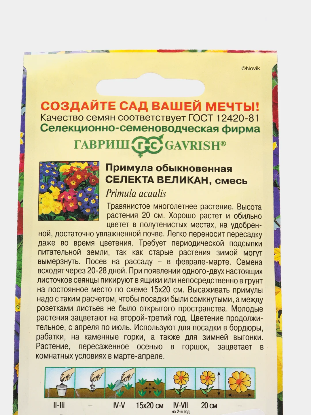 Примула Эрфрутские великаны (семена, цветы)