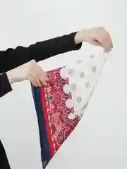 Багровый женский платок