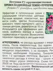 Семена Петуния "Превосходнейшая темно-пурпурная" набор 1, 3, 5 уп