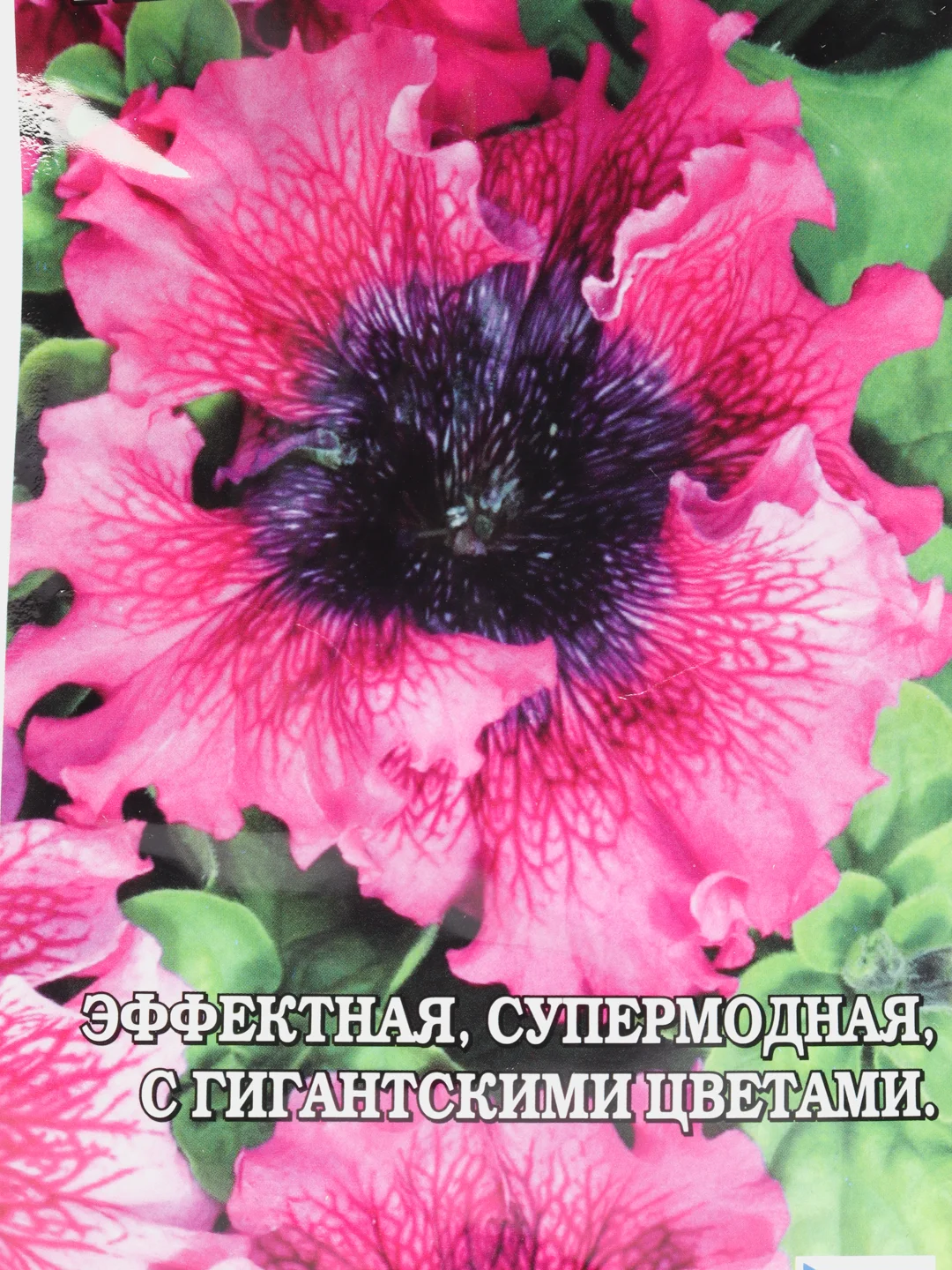 Семена Петуния "Превосходнейшая темно-пурпурная" набор 1, 3, 5 уп