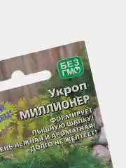 Семена Укроп Миллионер