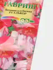 Семена Бегония клубневая ампельная "Алькор" набор 1, 3, 5 уп