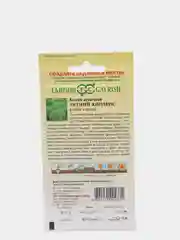 Семена Кохия веничная  Летний кипарис  набор 1, 3, 5 уп