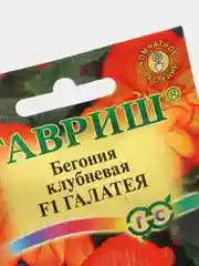 Семена Бегония клубневая F1 "Галатея" набор 1, 3, 5 уп