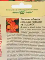 Семена Бегония клубневая F1 "Галатея" набор 1, 3, 5 уп